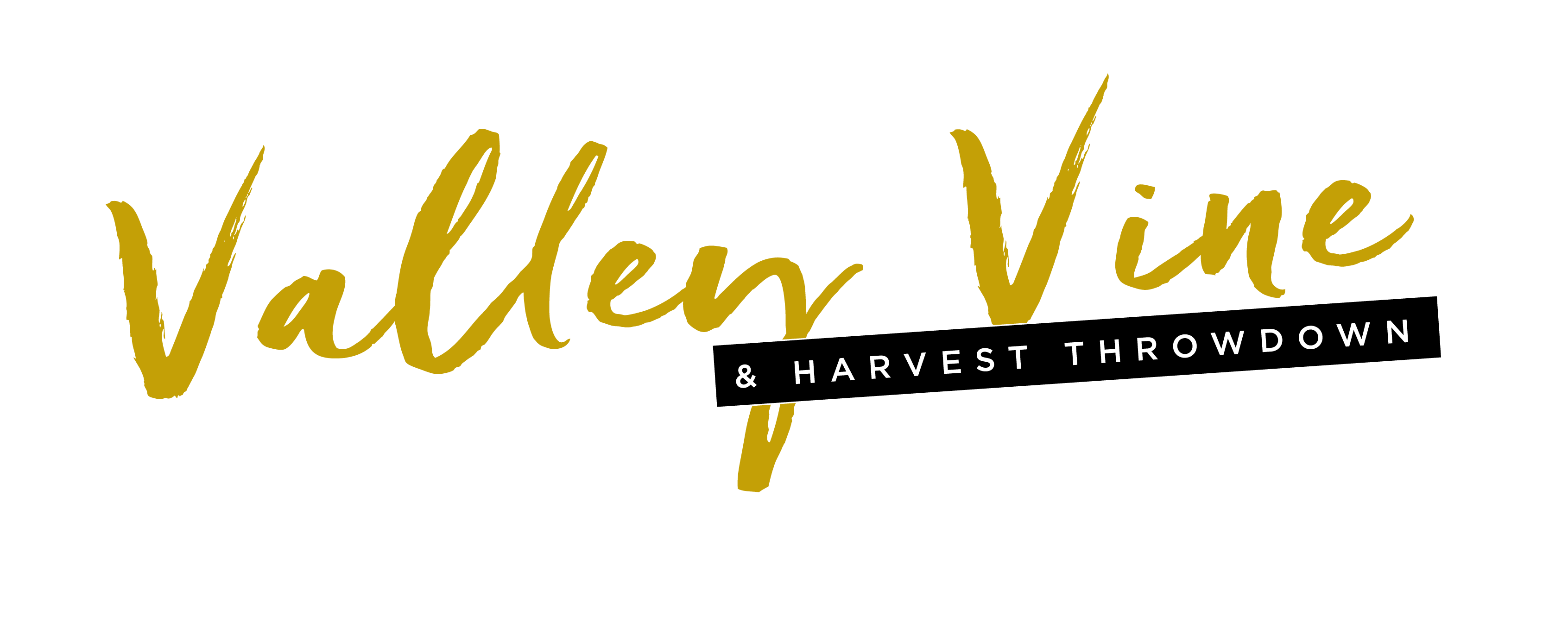canvas health valley vine logo